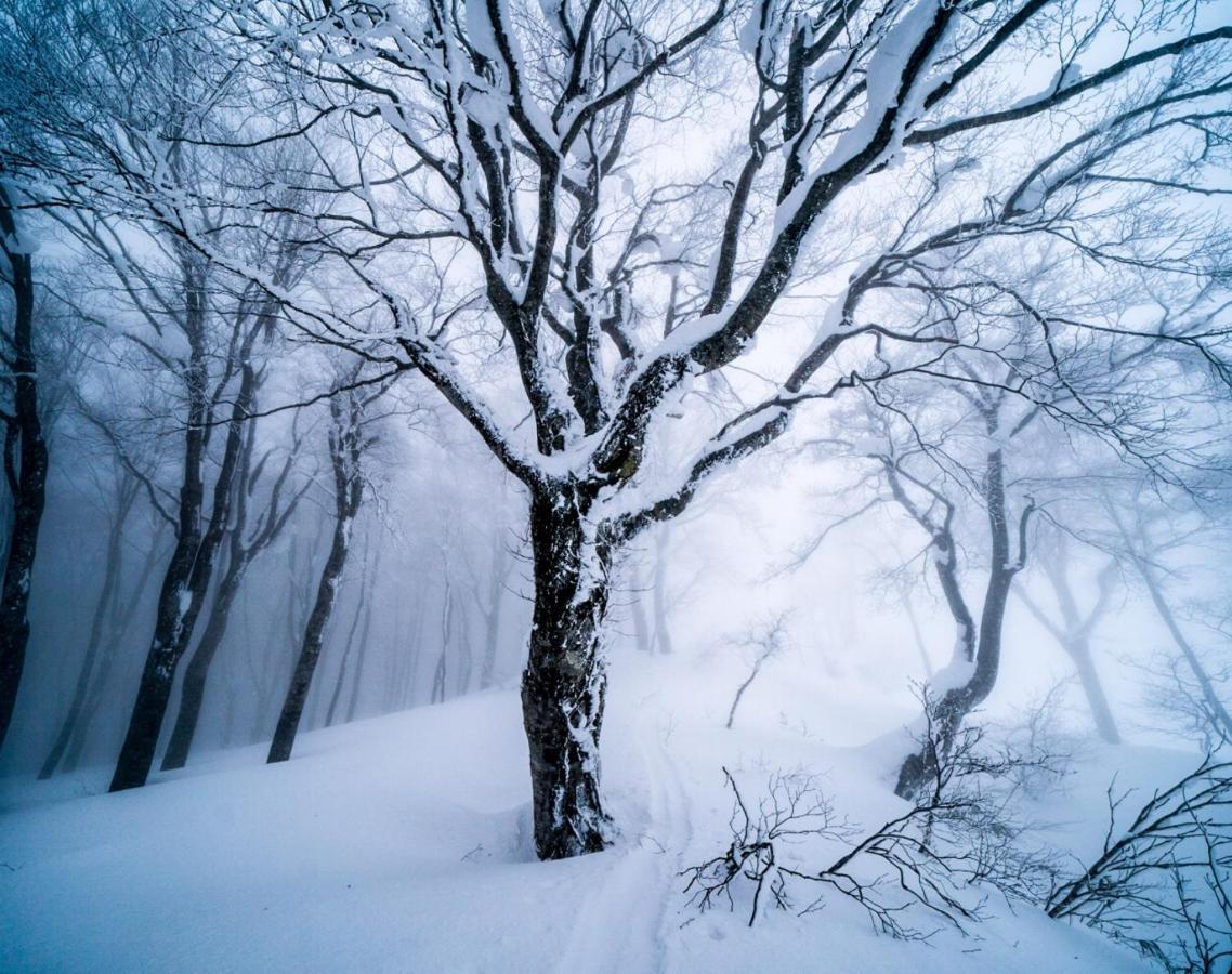 The Joint Bed & Breakfast Hakuba Bagian luar foto